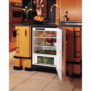 Monogram Fresh-Food Undercounter Refrigerator Panel Ready ZIFI240PII
