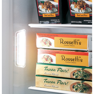 GE 20.2 Cu. Ft. Frost Free Upright Freezer White FUF20DHRWW