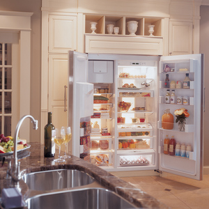 Monogram  Réfrigérateur côte à côte de 48 po à Panneau personalisé ZISB480DK