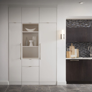 Réfrigérateur colonne intégré Monogram de 24 po - ZIR240NPKII