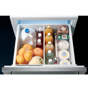 Monogram Module de réfrigération à deux tiroirs Panneau prête ZIDI240HII